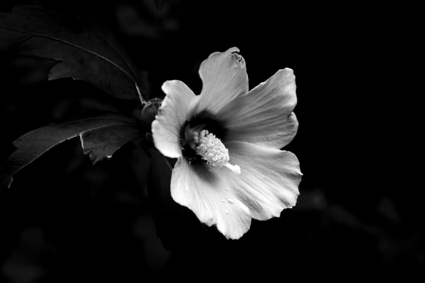 Соціальні ініціативи платформи