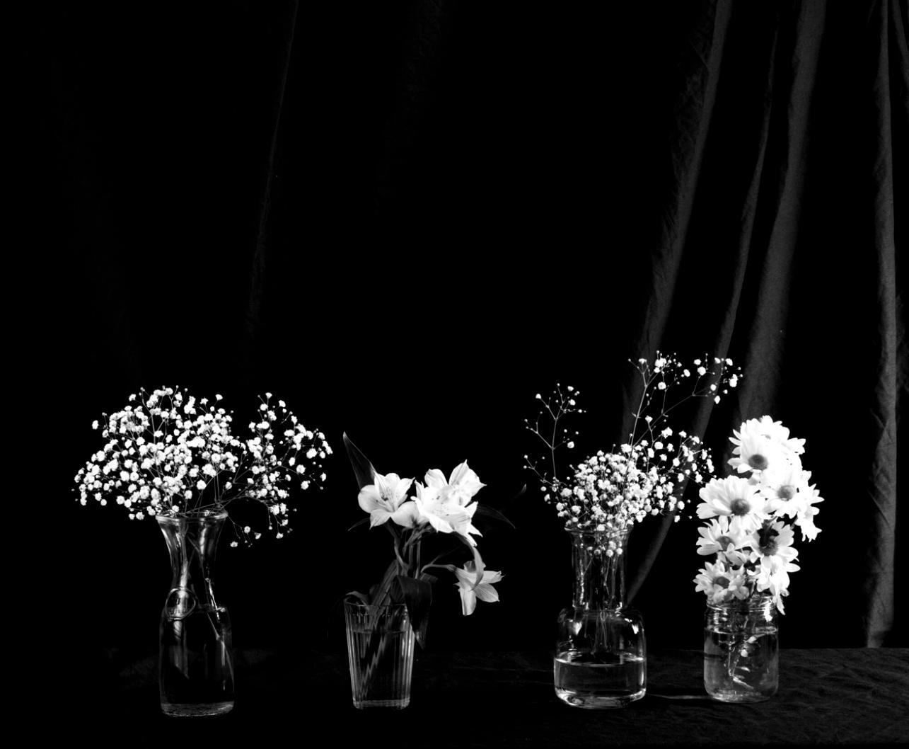 Благодійні проєкти